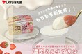 【12月８日発売】プリンの概念を覆す⁉ 新食感スイーツ誕生!!　茨城乳業「濃恋 (こいこい) ミルクプリン」　～ 生クリーム 約40％ 配合濃厚ミルクプリン × 茨城県産いちごのソース ～