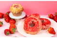 BAGEL & BAGEL が3月5日(水)「JR博多シティ」内アミュプラザ博多に新店オープン! “あまおう苺” のベーグルなど、店舗限定商品も販売します!