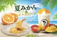 【新フレーバー】5月発売!!さっぱり×とろける贅沢2種「生わらびもち夏みかん」「飲むわらびもちプレミアムマンゴー」で初夏を味わう～