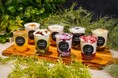 【新ブランド】「とろり天使のわらびもち平野店」が進化!!～令和の虎・島やん監修で新ブランド『とろり』へリニューアル～