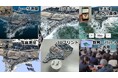 【兵庫教育大学】令和6年能登半島地震で変化した地形の高精細3Dデータを公開!