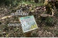 【兵庫教育大学】滋賀県東近江市で伝統的な治水施設「猿尾(さるお)」を再発見!