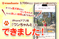 【iPhoneアプリ新登場】レビュー3,700件突破!愛犬と行けるお出かけ口コミアプリ「ワンちゃんと」リリース