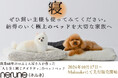 【日本製】極上の睡眠を実現した高品質ペット用ベッド『nerune(ネルネ)』がMakuakeにて先行販売開始