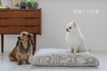 ペットに極上の眠りを。「nerune (ネルネ)」ブランドショップオープン!