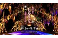 「竈門神社　七夕祭り」～星宿のきらめき～開催