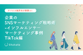 【アパレル業界向け事例あり】 企業のSNSマーケティング戦略術インフルエンサーマーケティング事例TikTok編