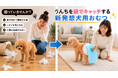 犬の排泄ケア問題を解決する。犬用おむつとうんち袋が一体化した『うんこパンツ』発売。