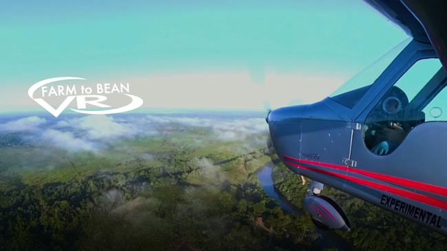 360度VRで楽しむカカオ農園のイメージ コンテンツ提供：株式会社 明治