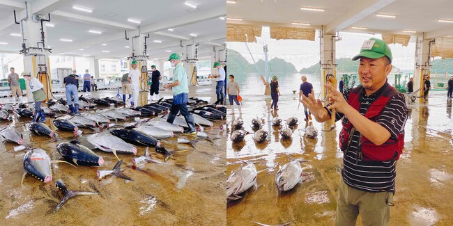 生マグロ水揚げ高日本一を誇る「那智勝浦港へ潜入ツアー」