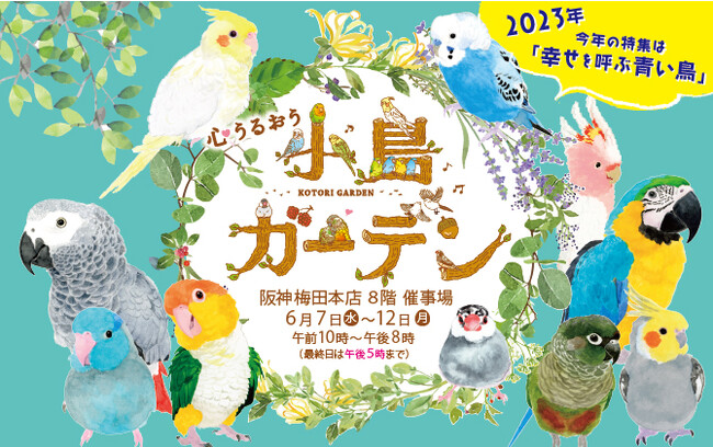 今年は“幸せを呼ぶ青い鳥”特集！「心うるおう 小鳥ガーデン」：時事