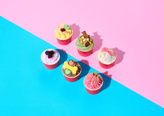 「CAKE LINK FORDOGS 」 ワンちゃん用プチケーキセット（直径４８ｃｍ、高さ６ｃｍ、６種各1 個入り） 税込み５,７２０円 【冷凍】