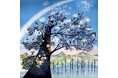 【阪神梅田本店】祝百寿 日本を代表する影絵作家、藤城清治の作品展を開催