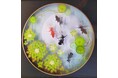 【阪神梅田本店】日本人に愛され続けてきた金魚。そんな金魚の愛くるしさを切り絵で表現する、黒川絵里奈の個展を開催いたします。