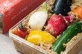 【阪神梅田本店】”発酵”の魅力を存分に味わえる!うまみの聖地、東海のお酒や食品が多数登場いたします