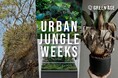 【阪急うめだ本店】都会で植物の息吹を感じる「URBAN JUNGLE WEEKS」開幕。3週間にわたり、伝統の盆栽から希少な珍奇植物まで勢ぞろい！