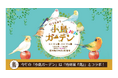 【阪神梅田本店】約100名の鳥作家が集結！「小鳥ガーデン」が今年さらにパワーアップして開催いたします