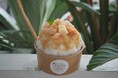 【阪急うめだ本店】阪急初登場のかき氷も！素材にこだわった一杯が集結する「本日、かき氷日和」を8月26日より開催