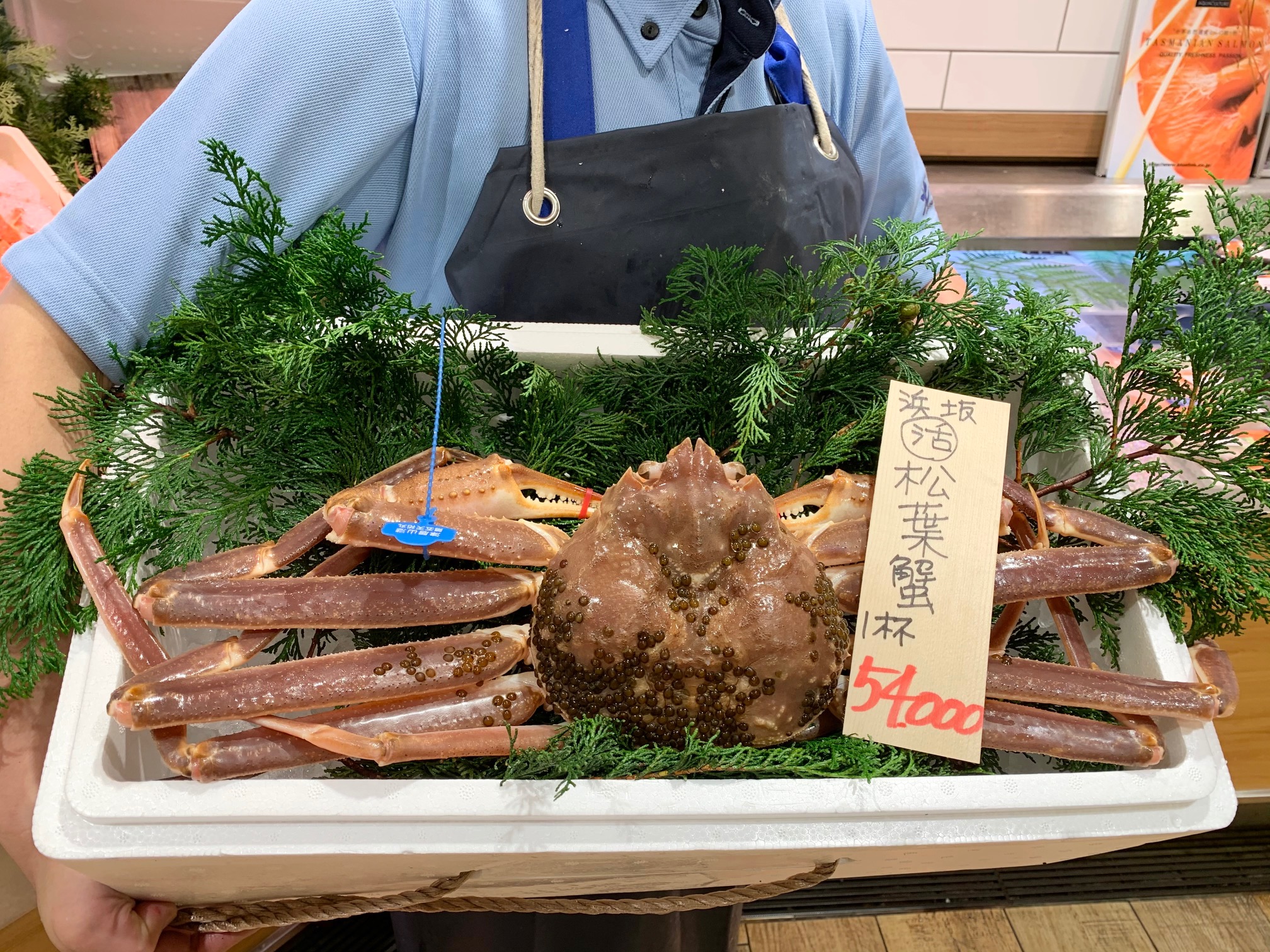 阪急百貨店うめだ本店 初セリで1杯250万円がでた浜坂漁港から松葉ガニ入荷 株式会社阪急阪神百貨店のプレスリリース