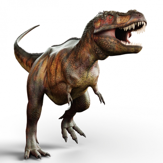 すべての動物の画像 ロイヤリティフリーティラノサウルス イラスト 恐竜