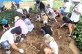 人と自然をつなぐ調査研究、活動行催事を支援する「花博自然環境助成」の公募を開始しました! 受付期間:令和7年7月15日(火)~8月25日(月) 消印有効