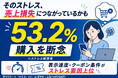 ネット通販でストレスを感じた人の53.2％が購入を断念。不満上位は「表示速度」と「クーポン条件」