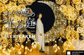 情熱大陸に出演！竹あかり演出集団「CHIKAKEN」が彩る月夜の風雅な展覧会「かぐや姫の光る庭 in サクラマチクマモト」を2024年8月9日オープン