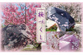【新商品】日本の春を楽しむ傘　晴雨兼用「桜づくし」発売