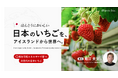 【堀江貴文氏も参画 アイファーム社プレスリリース】 「日本品種いちごの販売を再開」