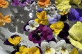 「全国都市緑化かわさきフェア」×川崎市内銭湯|フェア会場の花が彩る癒しの湯『花風呂』を実施します