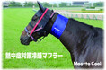【USIMO】馬のヒートストレス軽減と競争能力向上の両立を目指して！接触冷感ネッククーラー「モーっとクール」に【ファイテン】のリラックス＆リカバリー効果をプラスして新発売。馬の熱中症対策・健康維持に！