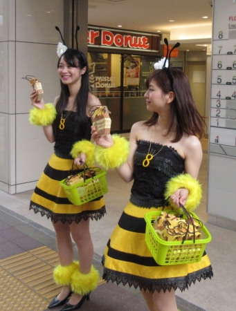 ハニーチェガール
