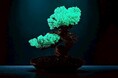 世界初の「光盆栽」と「アロマ盆栽」誕生。究極のサステナブル盆栽。TAIZAN BONSAI ー WITHERS