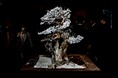 【盆栽車】枯れた盆栽を、侘び寂びラグジュアリーへ昇華する「TAIZAN BONSAI （甦盆：SOBON）」、移動式茶室「TAIZAN TRUCK」での盆栽アート展示を開始。