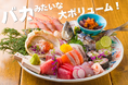 “魚バカ”の名に恥じない刺し身の盛り合わせが登場！毎日店内捌きの鮮魚を10点揃えた豪華な一皿【魚バカ一代　新橋店】