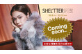 【バロックジャパンリミテッド】年に1度のSHEL’TTER FES（シェルフェス）を10月8日から開催！キービジュアルにタレントの村重杏奈氏を起用