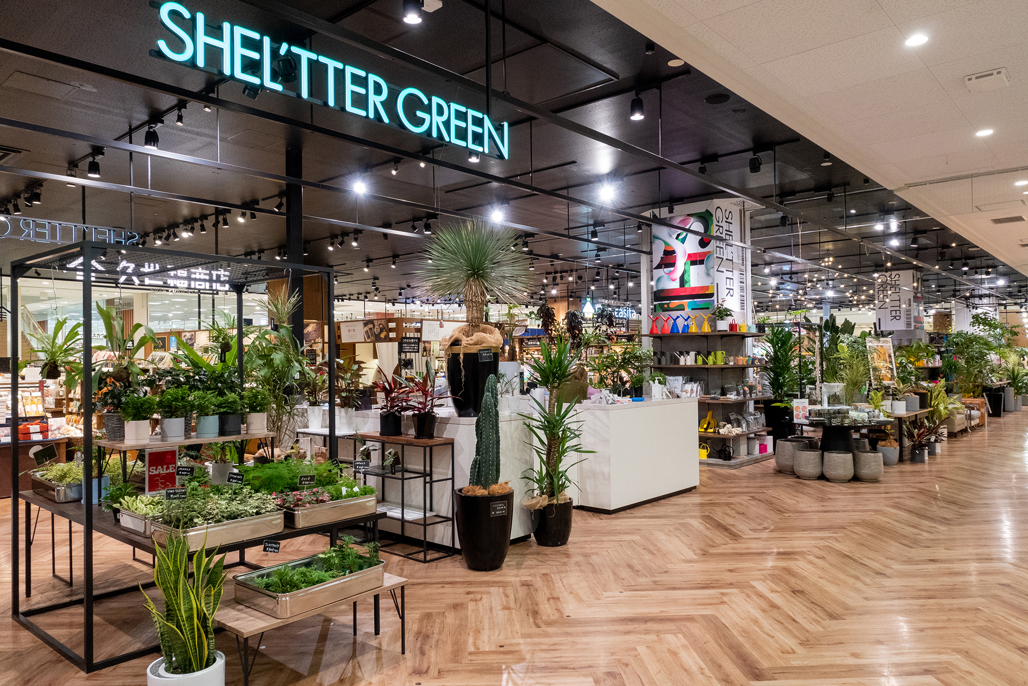 バロックジャパンリミテッド：『SHEL'TTER GREEN』新店舗が続々