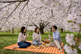 パティーナ大阪、大阪城公園での花見体験を新たに提案
