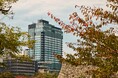 パティーナ大阪、ミシュランガイドのホテルセレクション2026にて 「1ミシュランキー」を受賞