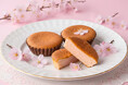 【桜スイーツ人気No.1】口の中で、桜の花が舞うような味わい。ふんわりシフォン食感の「桜マドレーヌ」が2/8より登場