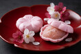 【春限定】ねっちゃり濃厚“食べる桜”が今年も登場！もち米の王様・こがね餅の最中皮×静岡県産桜葉入り餡で味わう「さくら最中」