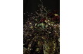 【朽ちない美しさを纏う】 布花作家 Fukukiyo Fabric-plants 福喜代 展示会&秋麗のコサージュワークショップ 10月3日(金)~5日(日)