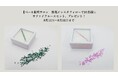 ベーネ銀座サロン　新規インスタフォローで10名様にサファイアルースセット、プレゼント！8月11日～8月31日まで