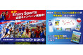 「Team Enjoy Sports in Summer」夏のスポーツ応援企画推進中！