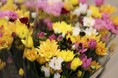 昨年50,000束強を販売！栃木の直売所"あぜみち"が、8/10より切り花の販売をスタート
