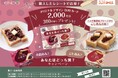 コメダ特製小倉あん ・コメダ特製こしあん【あなたはどっち派】 キャンペーン開催!