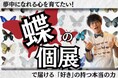 「むし展〜かわひらこ〜」開催に向けたクラウドファンディング実施中 好奇心・探究心を育む蝶の個展で、夢を持てる子どもを増やす