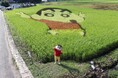 「クレヨンしんちゃん」が秋田の田んぼに！今しか見られないしんちゃん田んぼアートで記念撮影会！