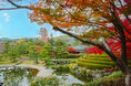 静岡市の紅葉の名所・秋のイベント|駿府城の日本庭園「紅葉山庭園」で紅葉とお茶を楽しむ!静岡市の紅葉スポットやライトアップイベントを紹介