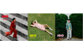 SEO IN GUK Special Mini Album「IRO」本日より予約販売開始!